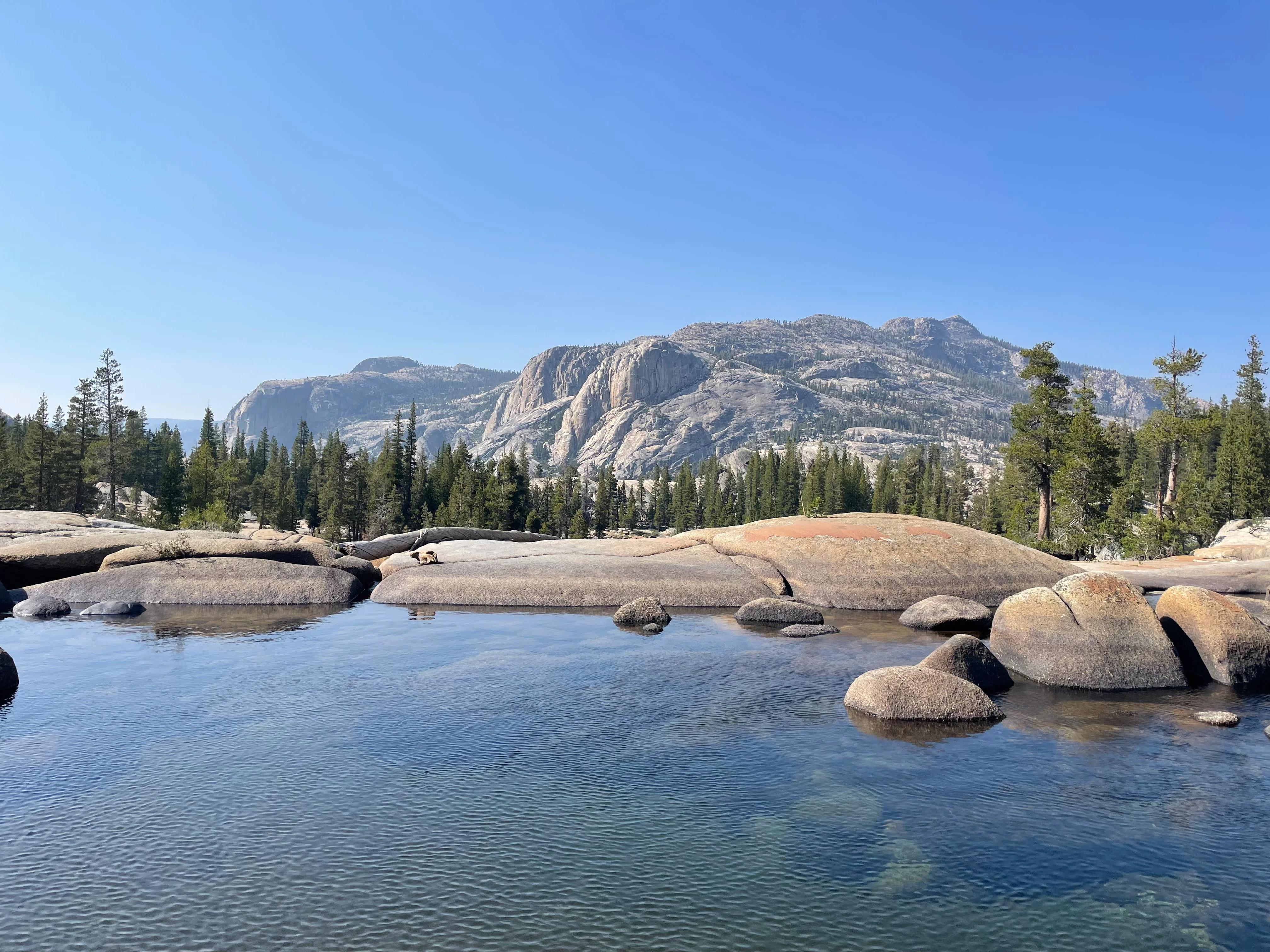 Backpacking Yosemite: Glen Aulin Pass Thru - Image 36