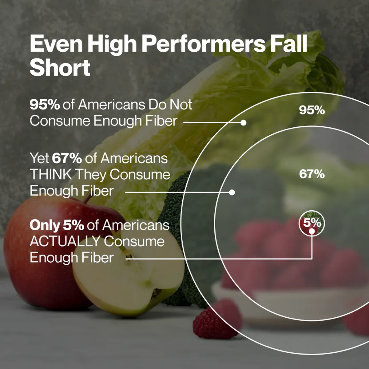 Fiber + (30 Servings) - Image 4