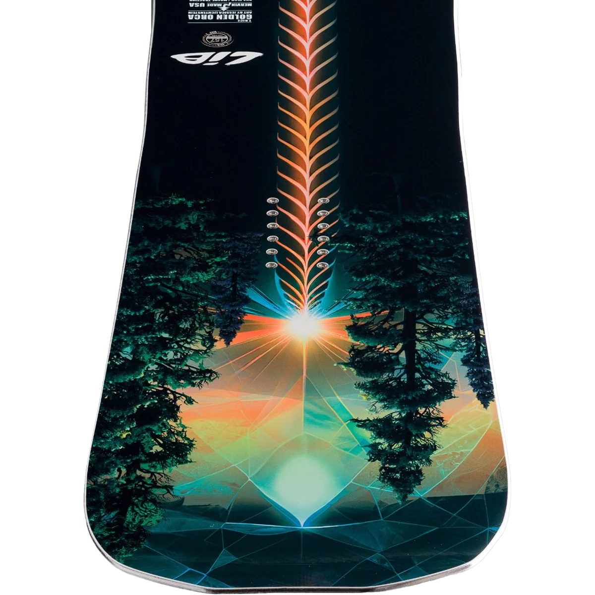 Golden Orca - Image 5