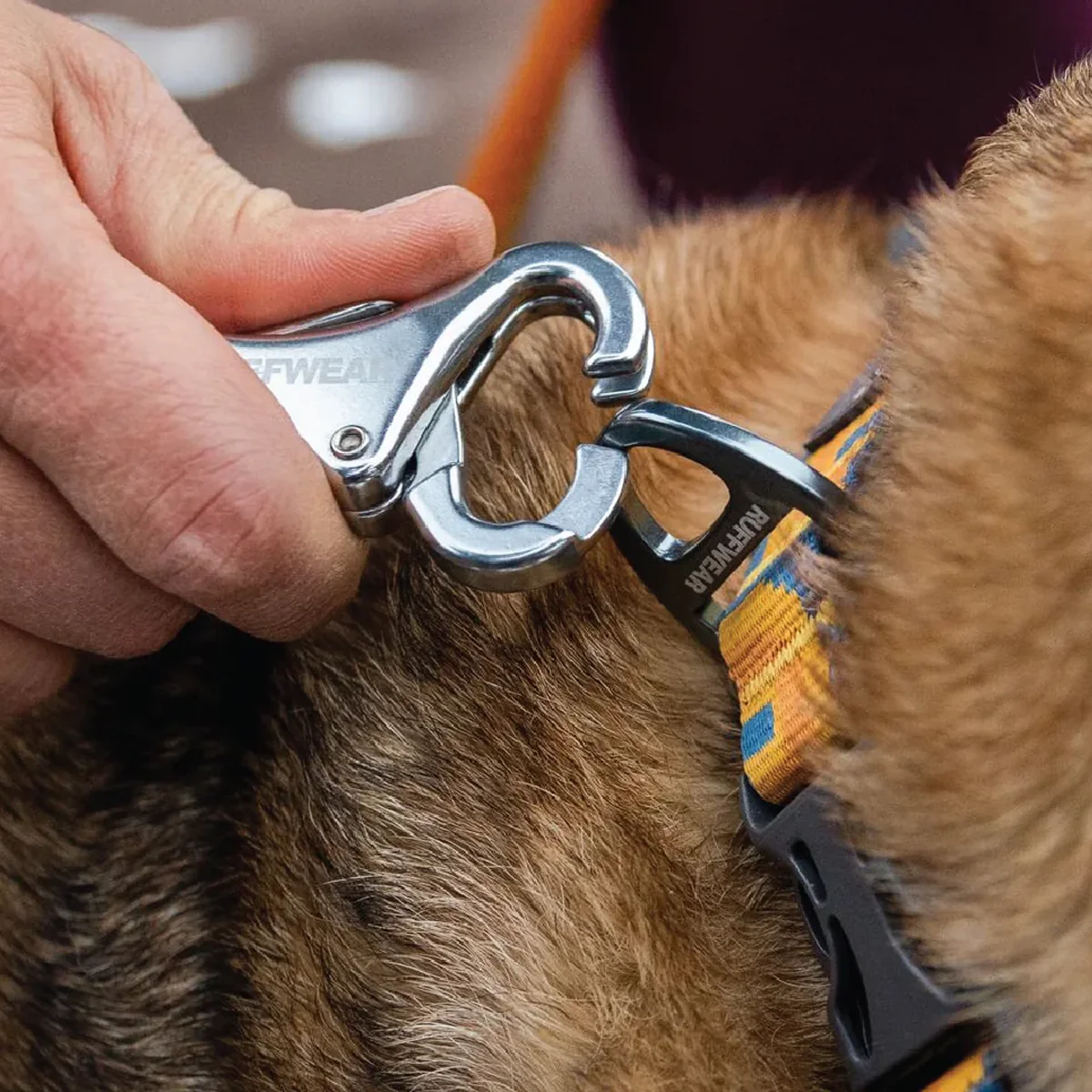 Roamer Bungee Leash - Image 5