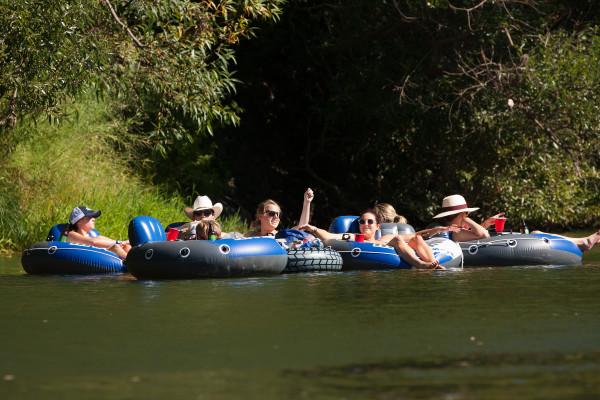 Russian River Bus - Image 5