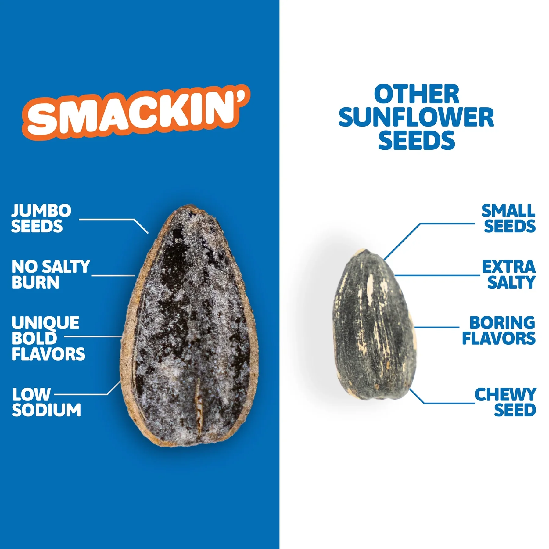 Smackin Sunflower Seeds - Image 6