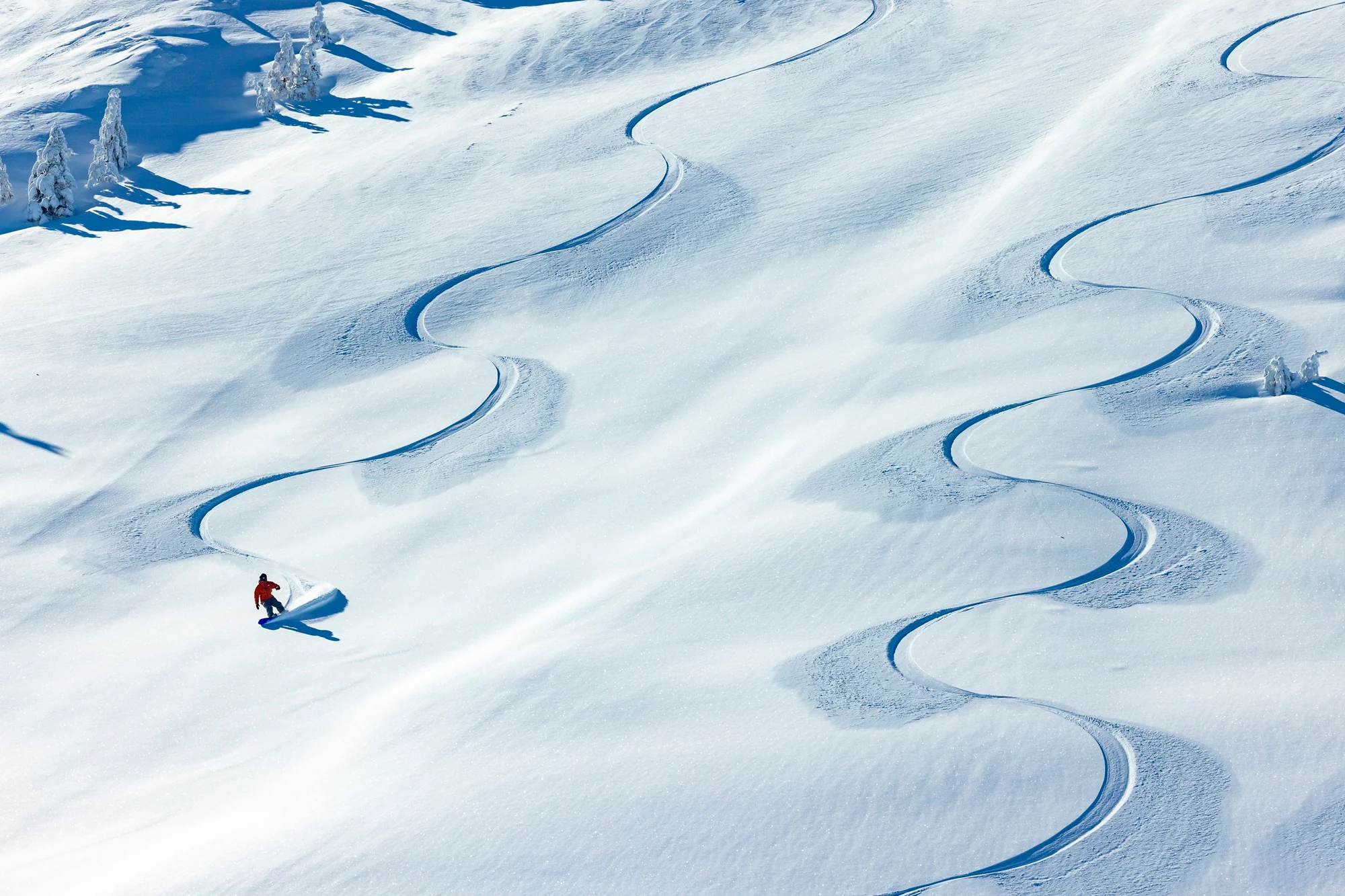 Snow Summit Ski Bus - Image 16