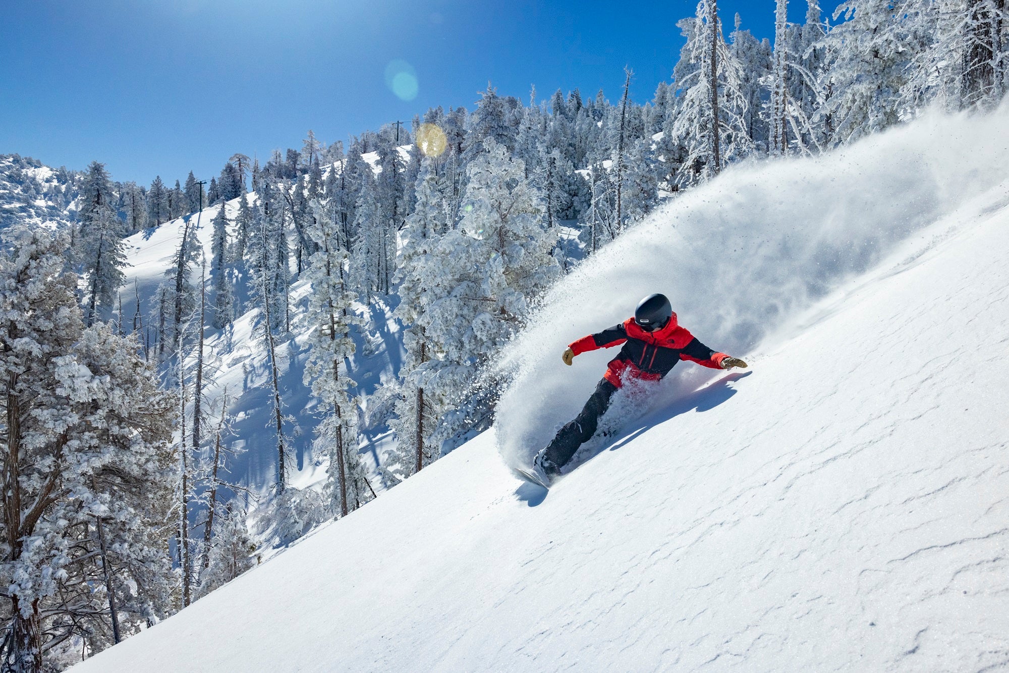 Snow Summit Ski Bus - Image 9