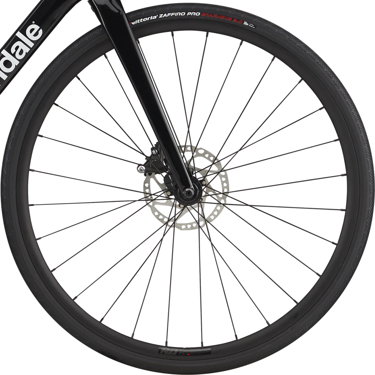 Synapse Carbon 4 - Image 4