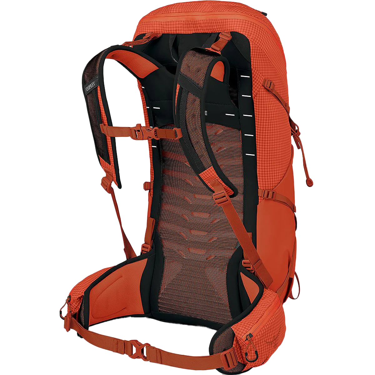 Talon Pro 30 - Image 3