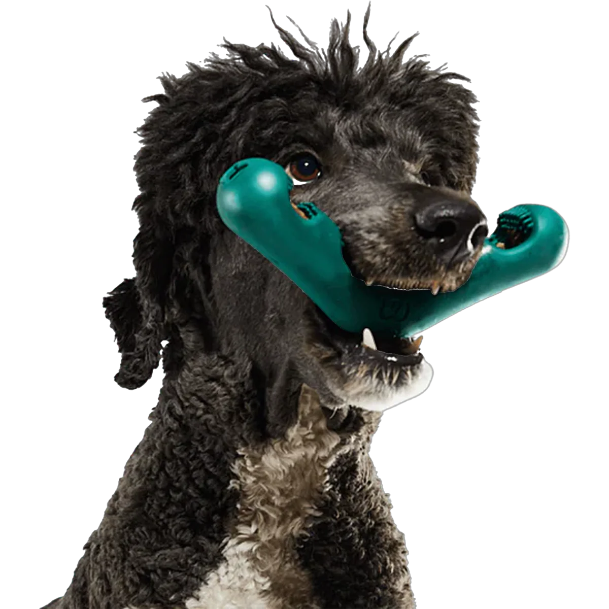 The Bite N' Brush - Image 3
