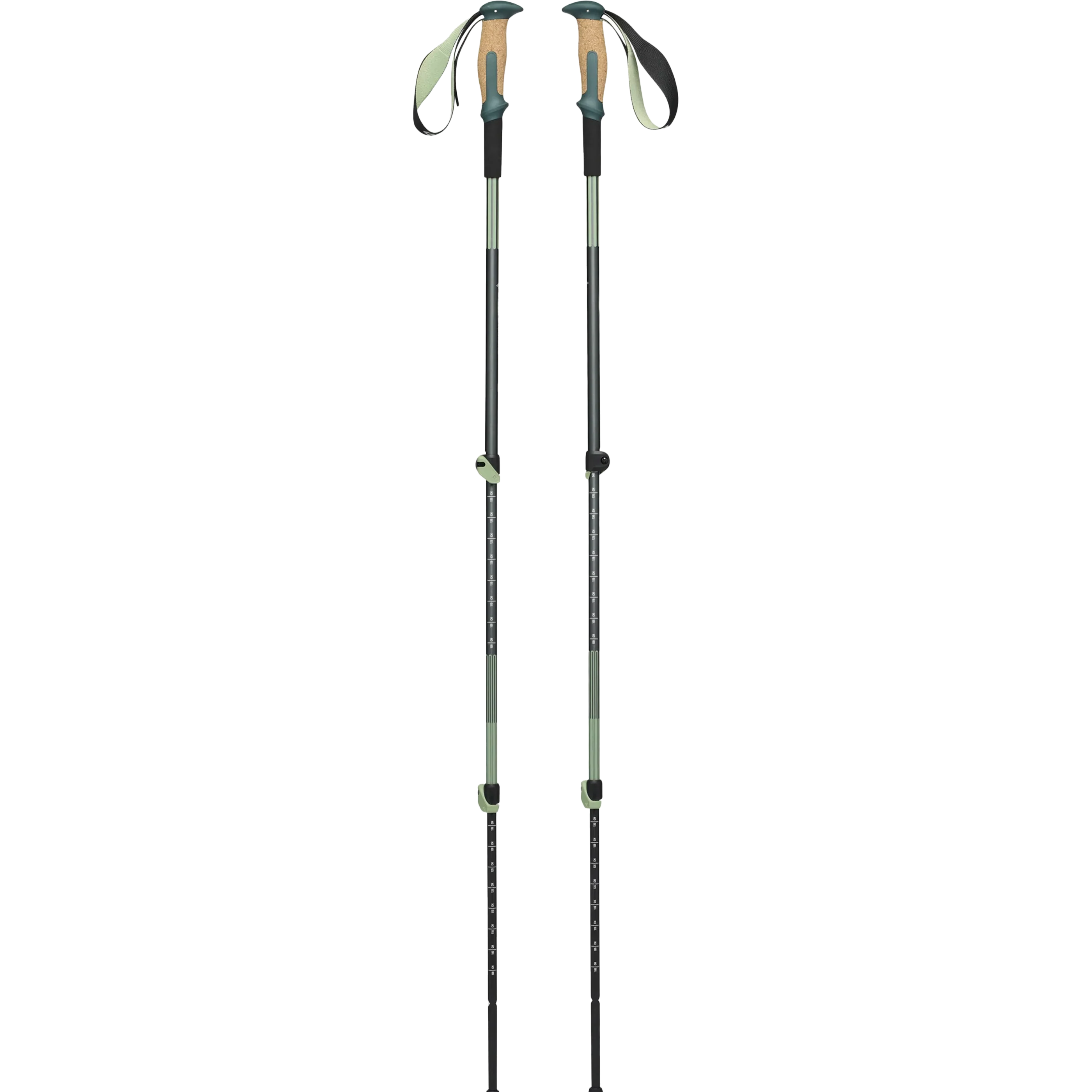 Trail Vista Shock Trekking Poles