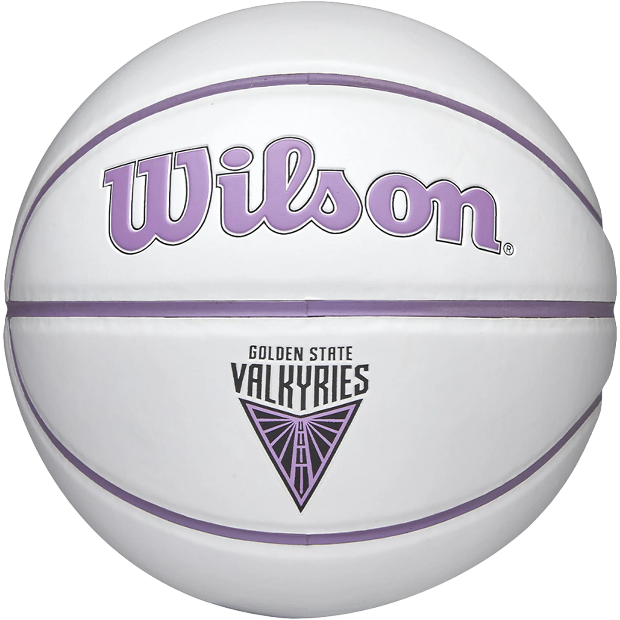 WNBA Team Autograph Mini Basketball Valkryies - 22"