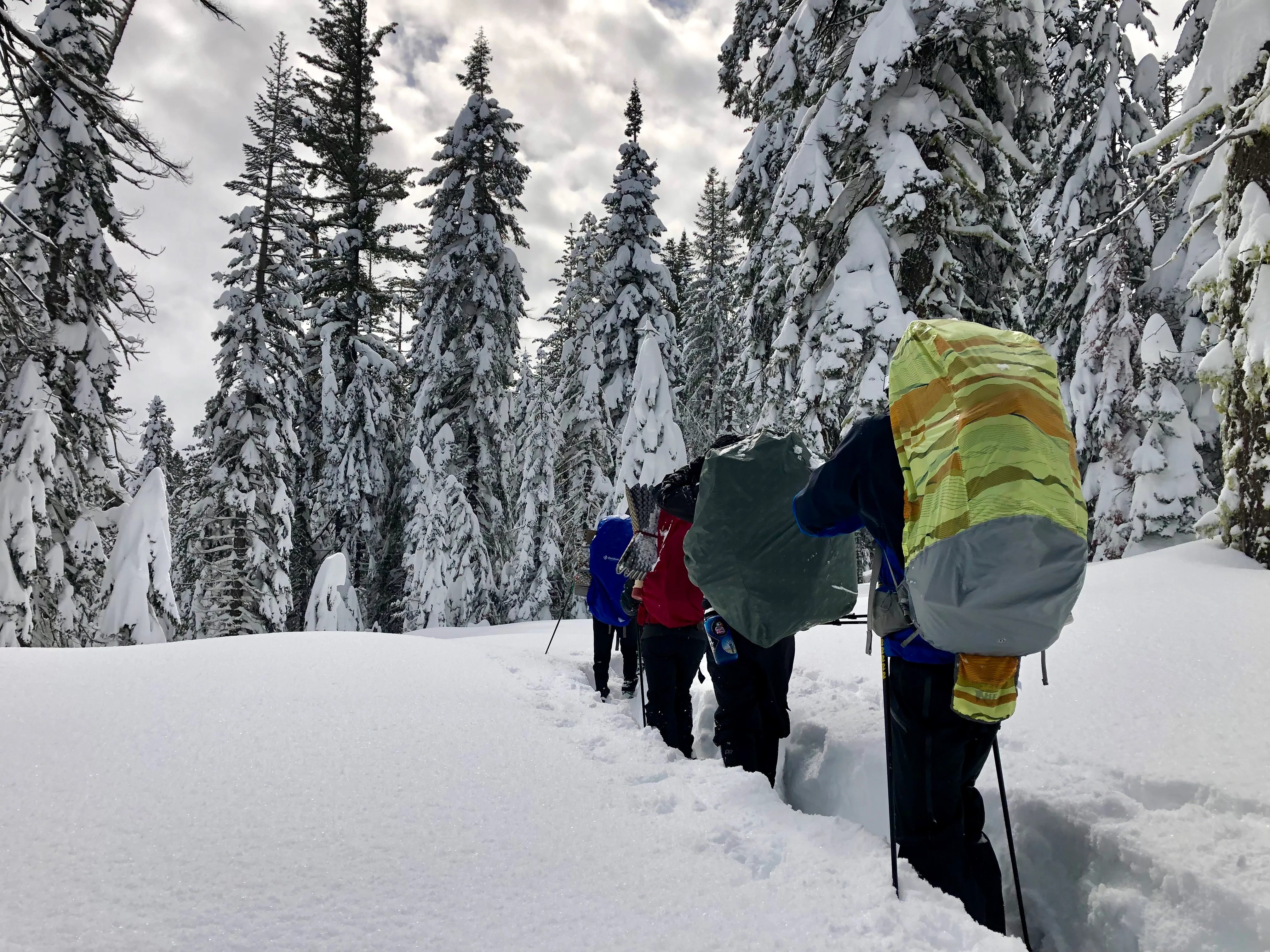 Snowshoeing Yosemite: Dewey Point /Crocker Point Weekend - Image 3